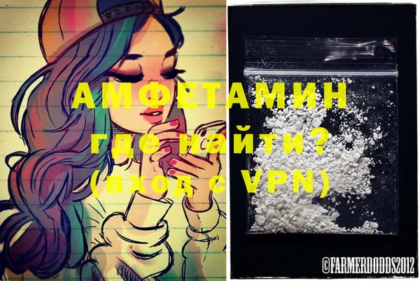 спайс Инта