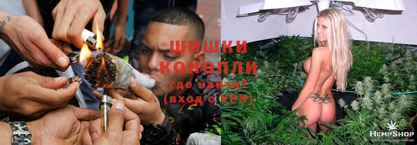 спайс Инта