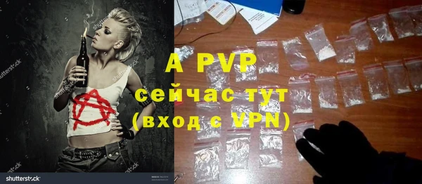 спайс Инта