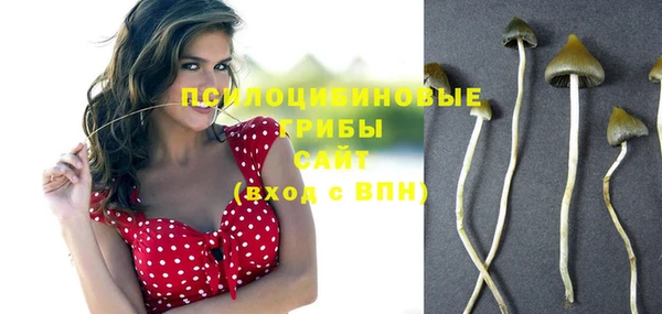 спайс Инта